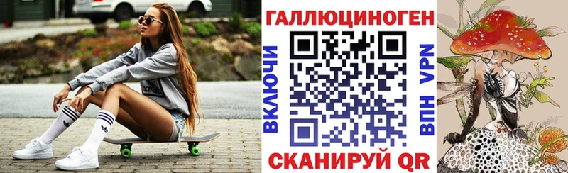 ссылка на мегу маркетплейс  Нижнеудинск  Псилоцибиновые грибы Psilocybe 