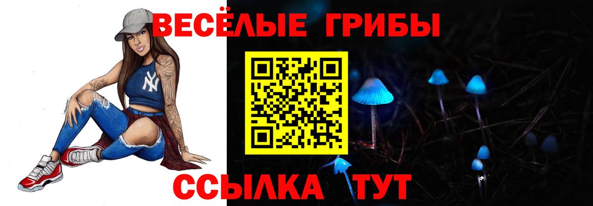 Псилоцибиновые грибы ЛСД  Галлюциногенные грибы мицелий  продажа наркотиков  Вход с VPN  Нижнеудинск 